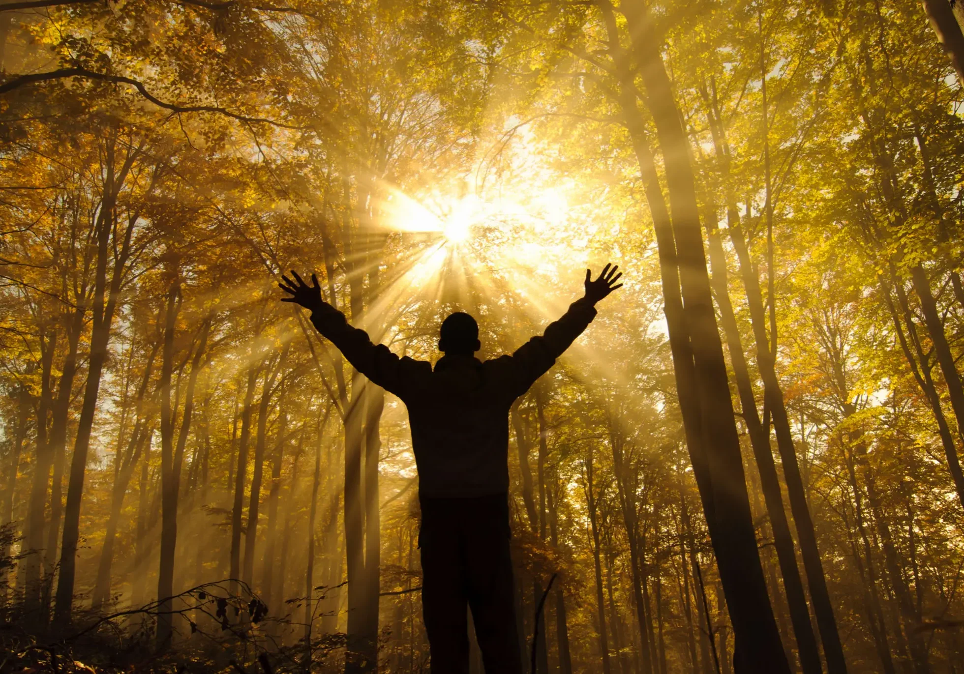 Christian Health Wellness